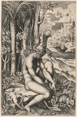 Venus Wounded by a Rose's Thorn — Marco Dente