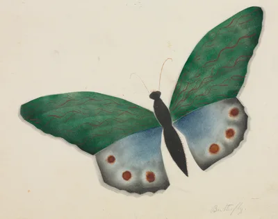 Butterfly — Mrs Nims
