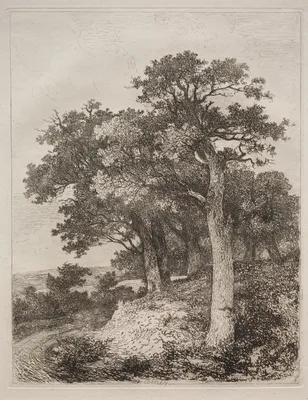 At Colney — John Crome