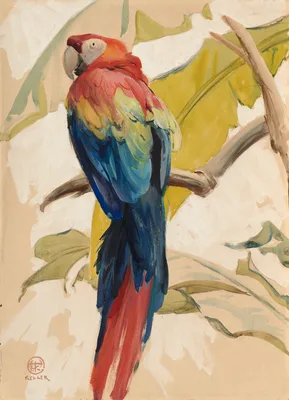 Old Grumpy — Henry Keller