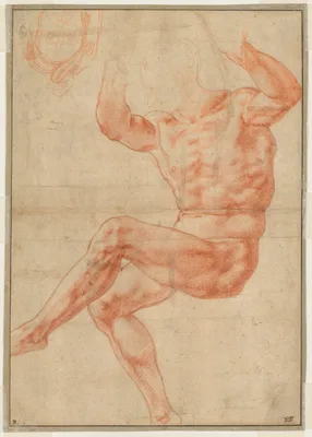 Study for the Nude Youth over the Prophet Daniel (recto) — Michelangelo