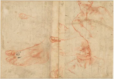 Figure Studies for the Sistine Ceiling (verso) — Michelangelo