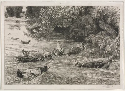 The Question Mark — Félix Bracquemond