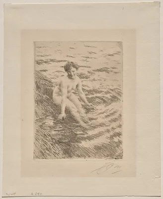 Wet — Anders Zorn