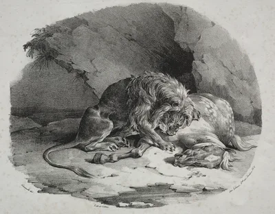 Horse Devoured by a Lion — Théodore Géricault