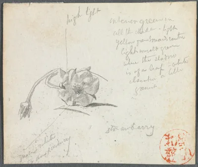 Strawberry Blossom — John La Farge