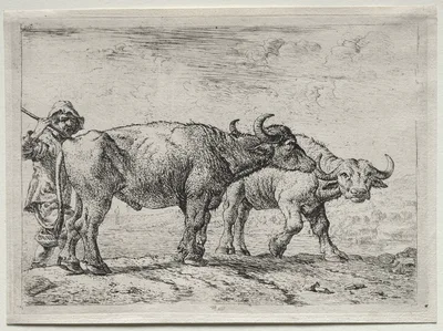 The Two Buffaloes — Pieter van Laer