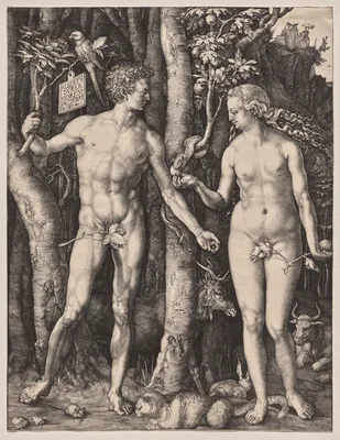 Adam and Eve — Albrecht Dürer
