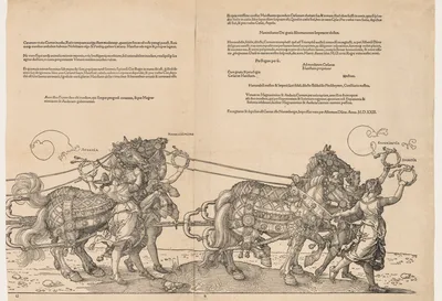 The Great Triumphal Car of Emperor Maximilian — Albrecht Dürer
