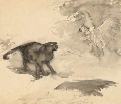 The Parrot and the Cat (Sketch for "Good-Night" by Eleanor Gates) — Arthur Rackham