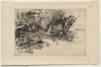 The Willows — Francis Seymour Haden