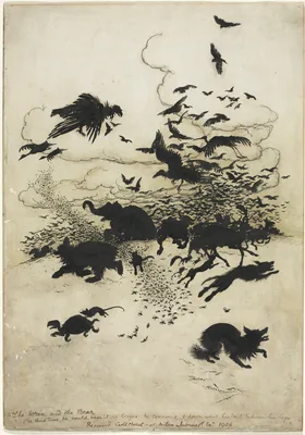 The Wren and the Bear — Arthur Rackham