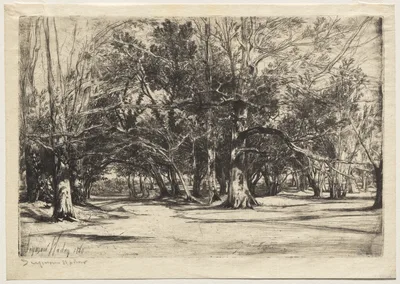 A By-Road in Tipperary — Francis Seymour Haden