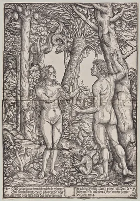 The Fall of Adam and Eve — Hans Burgkmair the Elder
