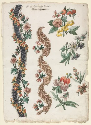 Floral Designs and Floral Bands — Giacomo Cavenezia