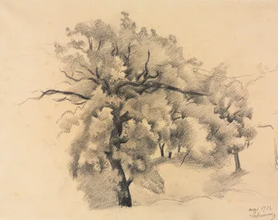 Study of Trees — Roger de La Fresnaye