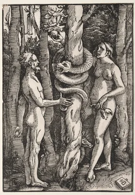 Adam and Eve — Hans Baldung Grien