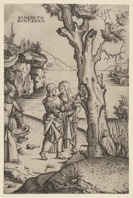 Birth of Adonis — Benedetto Montagna