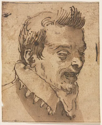 Head of a Man — Annibale Carracci