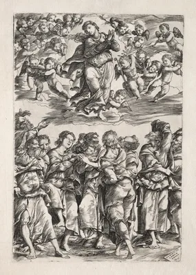 The Assumption of the Virgin — Domenico Campagnola