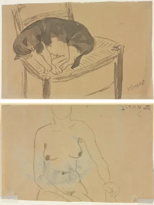 Sleeping Cat (recto) Torso of a Nude Woman (verso) — Jane Poupelet