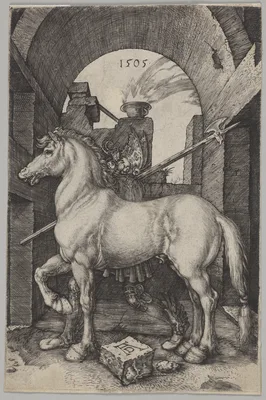 The Small Horse — Albrecht Dürer
