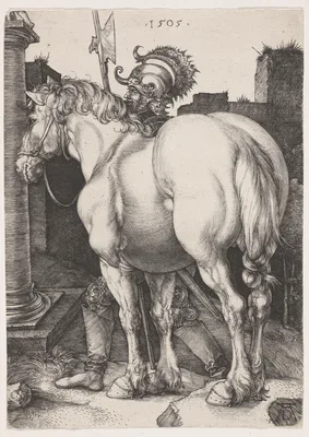 The Large Horse — Albrecht Dürer