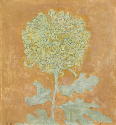 Chrysanthemum — Piet Mondrian