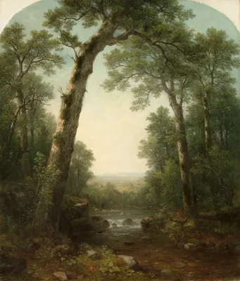 Forest Stream with Vista — Asher Brown Durand