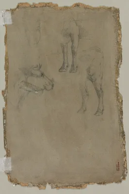 Studies of a Bull (verso) — Johan Jongkind