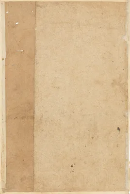 Page from Tales of a Parrot (Tuti-nama): blank page