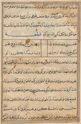 Page from Tales of a Parrot (Tuti-nama): text page