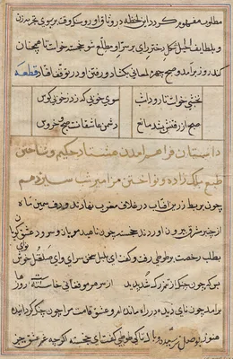 Page from Tales of a Parrot (Tuti-nama): text page