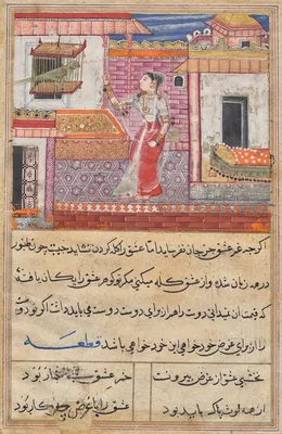The Parrot Addresses Khujasta at the Beginning of the Thirteenth Night, from a Tuti-nama (Tales of a Parrot) — Tara 1
