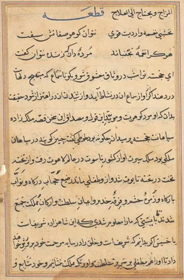 Page from Tales of a Parrot (Tuti-nama): text page