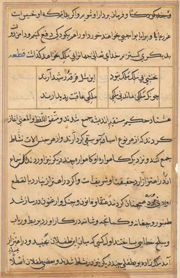 Page from Tales of a Parrot (Tuti-nama): text page