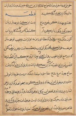Page from Tales of a Parrot (Tuti-nama): text page