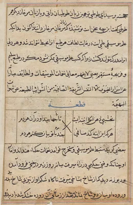 Page from Tales of a Parrot (Tuti-nama): text page