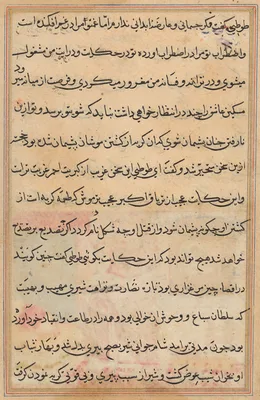Page from Tales of a Parrot (Tuti-nama): text page
