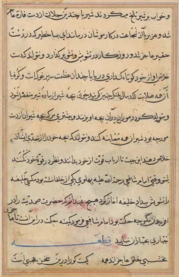 Page from Tales of a Parrot (Tuti-nama): text page