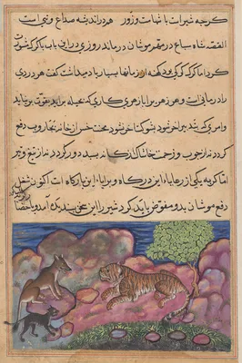 The wolf advises the lion to consult the cat, from a Tuti-nama (Tales of a Parrot): Fifteenth Night