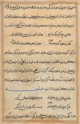 Page from Tales of a Parrot (Tuti-nama): text page