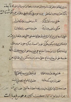 Page from Tales of a Parrot (Tuti-nama): text page