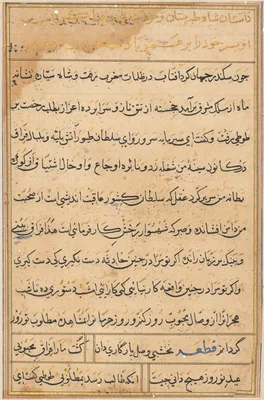 Page from Tales of a Parrot (Tuti-nama): text page
