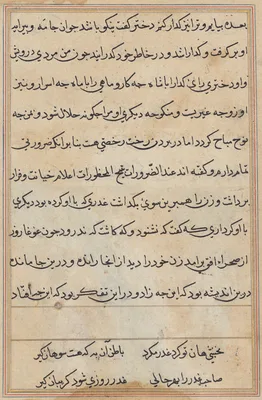 Page from Tales of a Parrot (Tuti-nama): text page