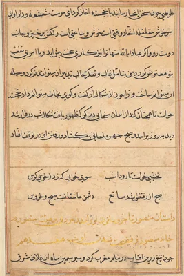 Page from Tales of a Parrot (Tuti-nama): text page
