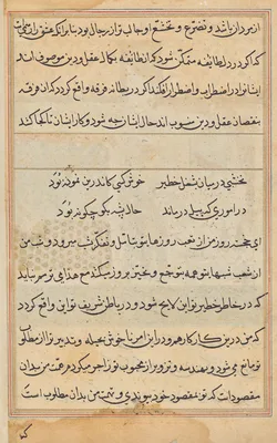 Page from Tales of a Parrot (Tuti-nama): text page