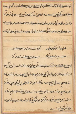 Page from Tales of a Parrot (Tuti-nama): text page