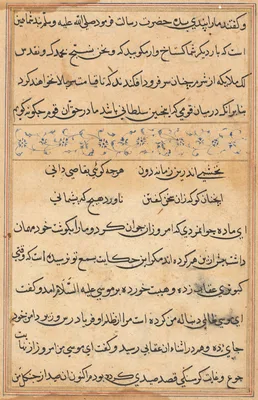 Page from Tales of a Parrot (Tuti-nama): text page