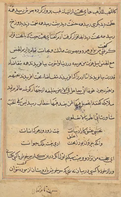 Page from Tales of a Parrot (Tuti-nama): text page